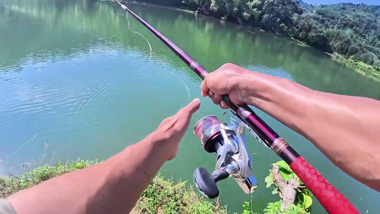 I Hooked a Monster Carp in This Hidden Mountain Lake