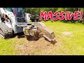 Are these stumps too big for this stump grinder!?!