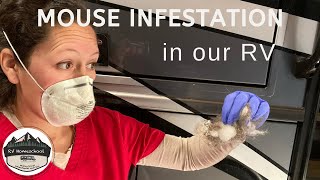 Mouse Infestation in our RV!!  Now What?  How to Clean and Eliminate  RV Homeschool