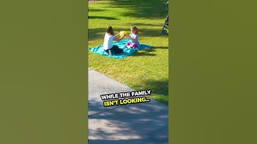 Dog SAVES Kid From KIDNAPPER 🥲❤️