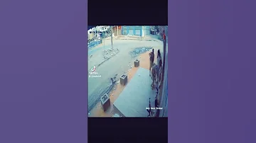 جنجويد رباطة جنجويد 