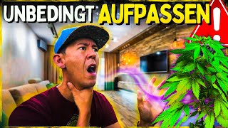 Cannabis Anzucht und plötzlich braune Blätter 💀 Schimmel und was du tun kannst!