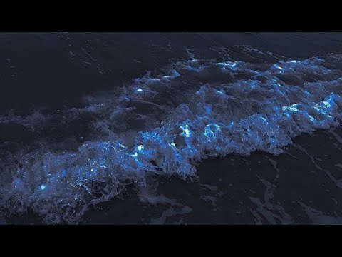 Hymn to the Sea | slowed+Reverb