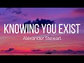 Alexander Stewart - knowing you exist (Lyrics)