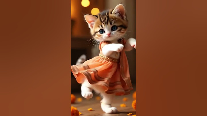 Tiny Cat’s Sweetest Dance – Just Pure Joy 🐾💛