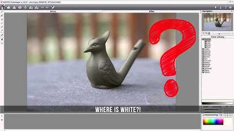 AKVIS Coloriage (Classic): Fixing Coloring Mistakes