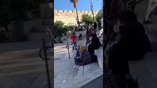 حاله واتساب و اعلنها الفلسطيني يا ويلو الي يعاديني🇵🇸🇵🇸🇵🇸🇵🇸