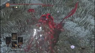 Dark Souls 3 PvP HATEMAIL im not sorry ;)