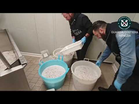Maxi sequestro della Guardia Costiera, bloccate due tonnellate di prodotti ittici irregolari