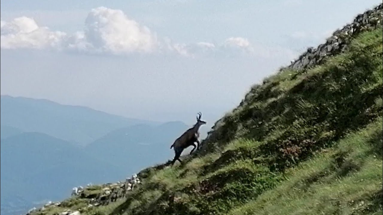 On top of the Carpathian Mountains