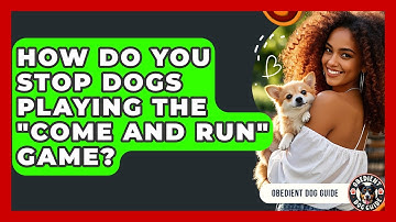 How Do You Stop Dogs Playing The "come And Run" Game? - Obedient Dog Guide