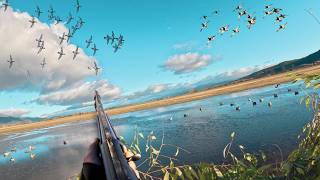 COVERED UP in Mountain Ducks (Limited Out) NONSTOP Ducks in the Decoys