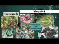 Vlog plantes44  jungle star un tour chez gamm vert les acariens sont enfin sortis fv 2024
