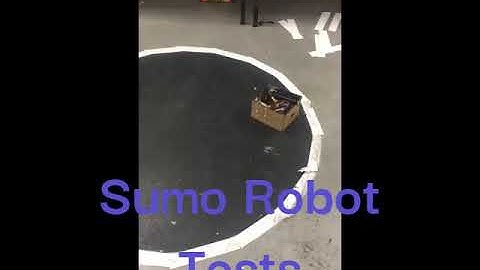 Sumo Robot