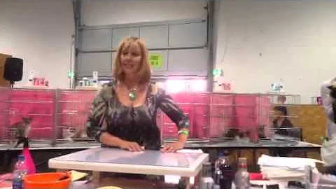 TICA SHOW GRAZ 11. OCT. 2014 - BEST CAT AB - judge...