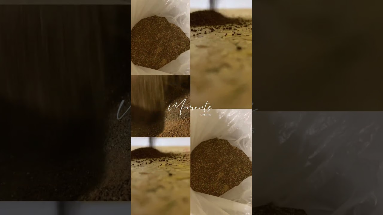 BUCATCA: pannelli, coperture e rasanti naturali contro freddo, muffe e umidità 🌿🏠