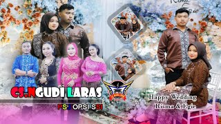 ✅ LIVE Streaming NGUDI LARAS Resepsi Pernikahan RIMA & EGIE // NGLsound JL.Kerutung Medan 09-11-2025 screenshot 4