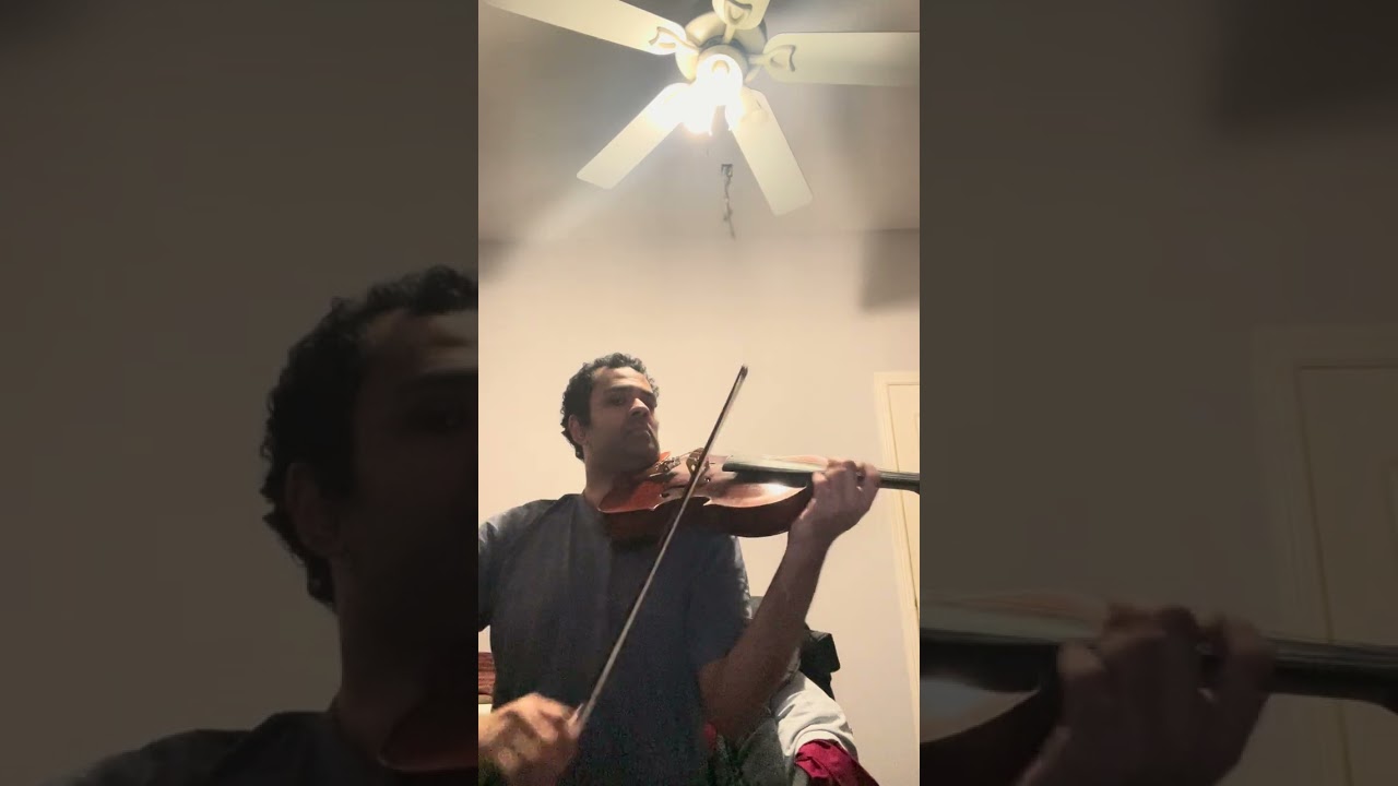 I’ll Make a Man Out of You - Donny Osmond (viola cover)