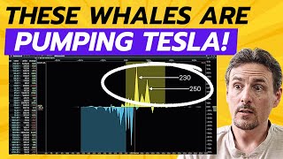 BIG MONEY Loaded Up On These 5 Stocks, Plus 4 Reasons Tesla Is Rocketing Higher AGAIN!
