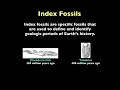 Index Fossils and Their Role in Understanding Earth's Geologic History