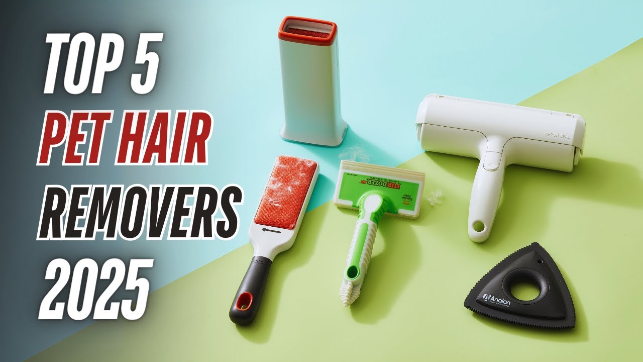 Best Reusable Pet Hair Removers 2025: Top 5 Picks for Furniture and Clothing