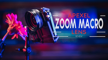 Zoom Macro vs 100mm: Apexel