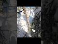 Pas la bonne trail, vire de bord part 2