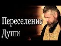 Что Такое Реинкарнация. Переселение Душ