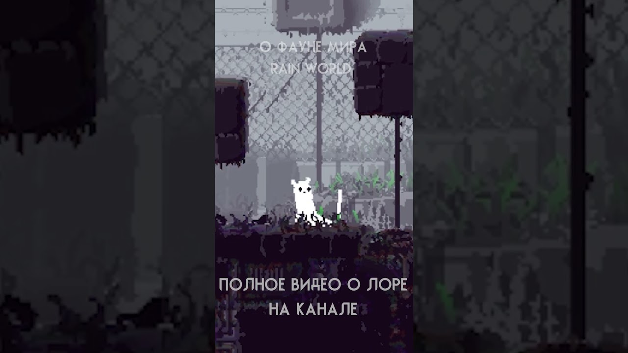 О слизнекотах. 