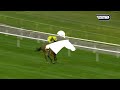 Race #8 – 02.01.26 –  Zoho Conditions Stakes– Meydaan