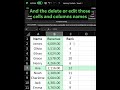 Name Cells, Delete Cells Names and Edit Cells Names With a Few Clicks