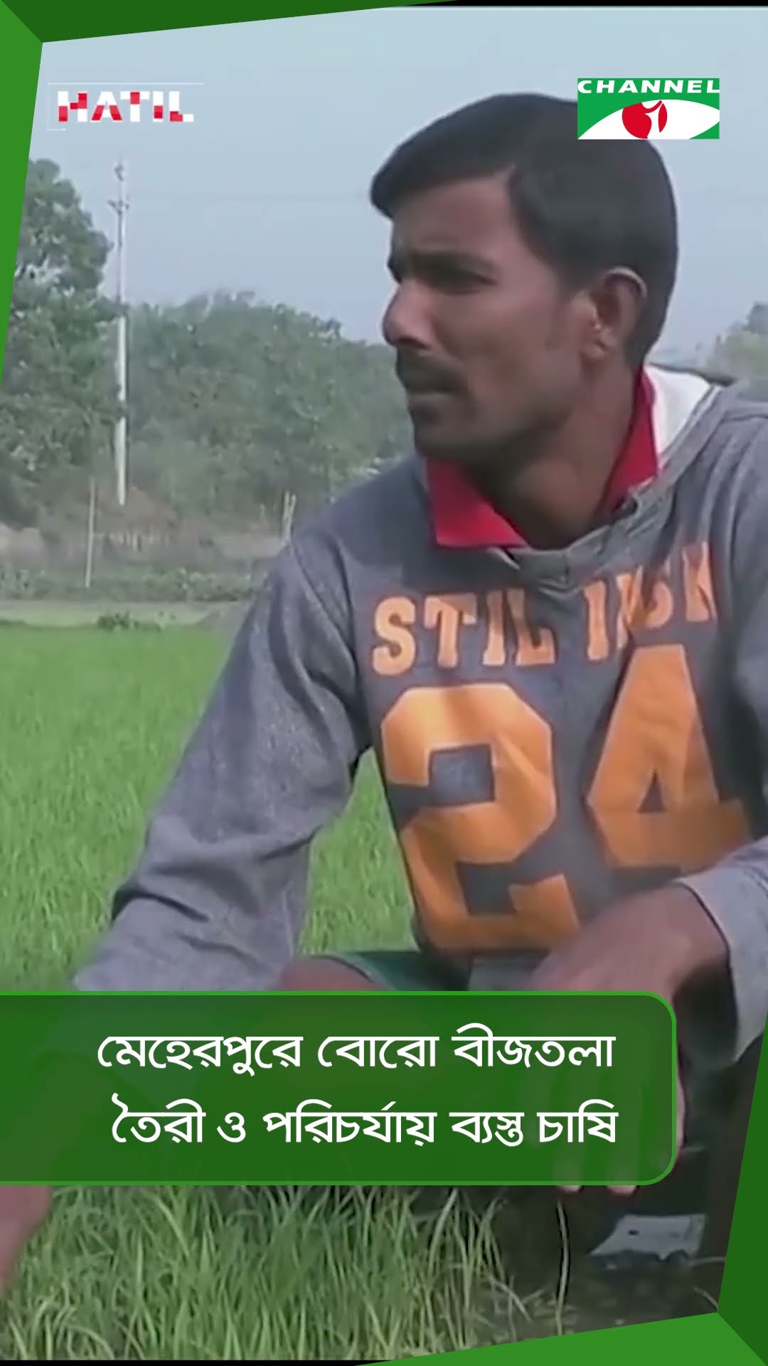 মেহেরপুরে বোরো বীজতলা তৈরী ও পরিচর্যায় ব্যস্ত চাষি || Channel i News