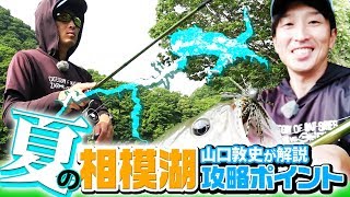 夏の「相模湖」攻略ポイントをノリーズ・山口敦史が解説