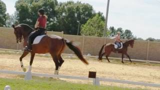 Finn Schooling One Tempi's