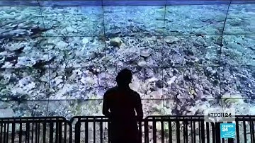 Gaming technology used by oceanographers to map coral reefs