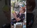 רוסישע באבע געדענקט וויאזוי מען פלעגט שלאגן די השענות מיט די ארבעת המינים רוסישע באבע געדענקט וויאזוי מען פלעגט שלאגן די השענות מיט די ארבעת המינים
