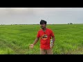 ស្រមោច