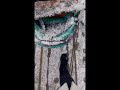 Погода у нас хорошая... #ноябрь24 #первый снег #зима