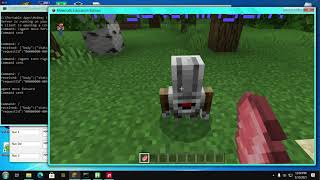 Messing with minecraft bedrock websocket(Agent)