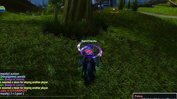 zhyper wow atack stormwind with 2 paladins :)