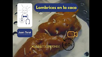 ¿El azúcar es bueno para las lombrices?