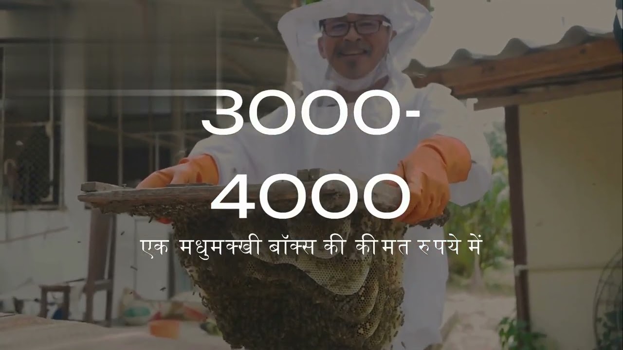 BEE FARMING BUSINESS PLAN