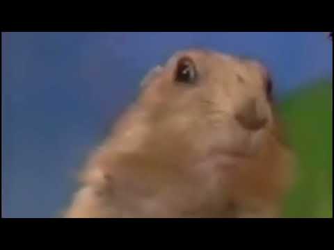 Dramatic Chipmunk Remake