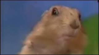 Famous Dramatic Chipmunk Remake Profile
