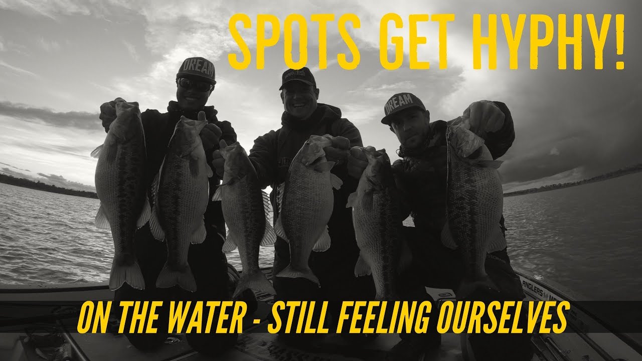 Spotted Bass getting Hyphy in Norcal - Alabama Rig Beatdown