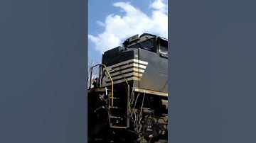 Intermodal Freight Train Northbound #norfolksouthern #railway #trains #trainspotting #railroad