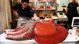 Incredible Giant Octopus Fishing|Amazing Giant Octopus Cutting Skill in Japan And Octopus Processing by kidsgametv 447 views 1 year ago 7 minutes, 49 seconds