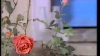 AIDS Awareness 1990