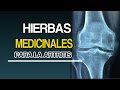 Aceites Esenciales y Hierbas Medicinales Para La Artritis