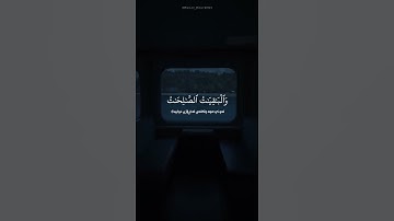 سورة مريم آية ٧٦ القارئ عبد الرحمن مسعد